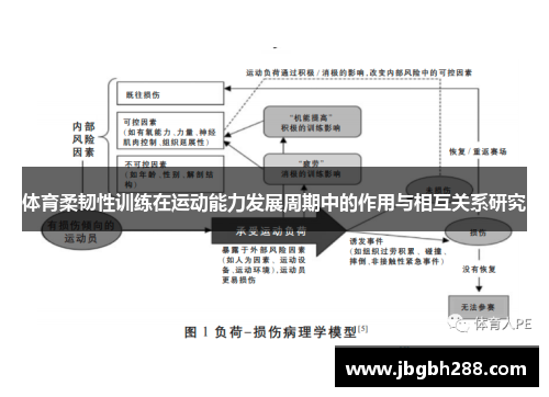 体育柔韧性训练在运动能力发展周期中的作用与相互关系研究